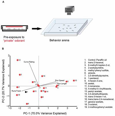 Behavior Responses to Chemical and Optogenetic Stimuli in Drosophila Larvae